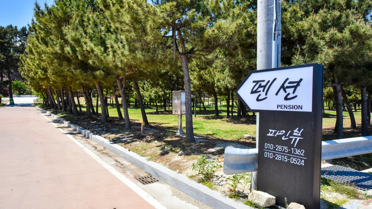 전경