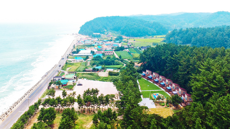 전경